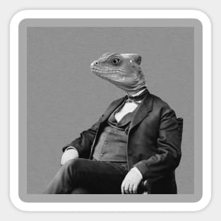 Dr Lizard Sticker